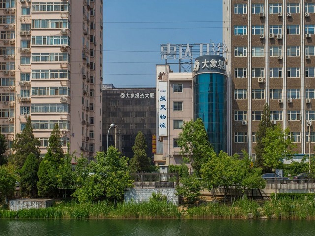 浙江省商场仿真植物批发